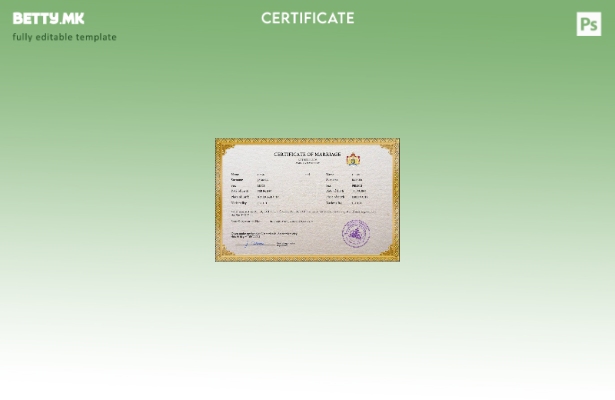 Модерен стил, шаблон за PSD, холандски сертификат за брак